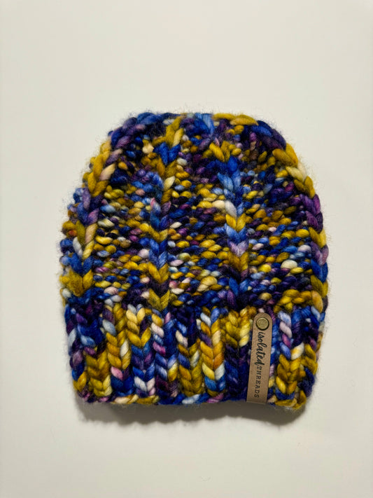 The Penny Beanie - Malabrigo Wool